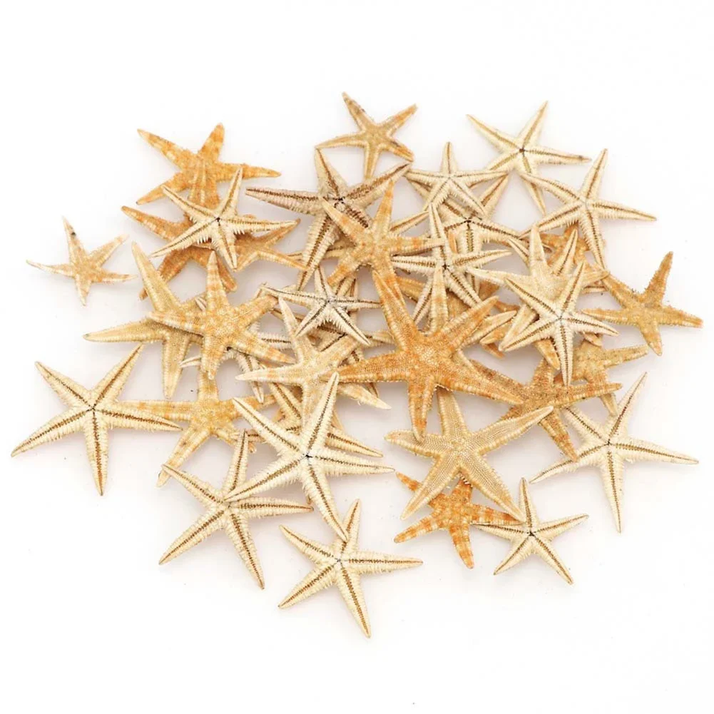 Natural Shell Ornaments Resin Starfish Ornaments 20/50/100pcs Starfish Seashell Practical Mixed Natural Reusable Realistic White Star Fish Tank Decor
