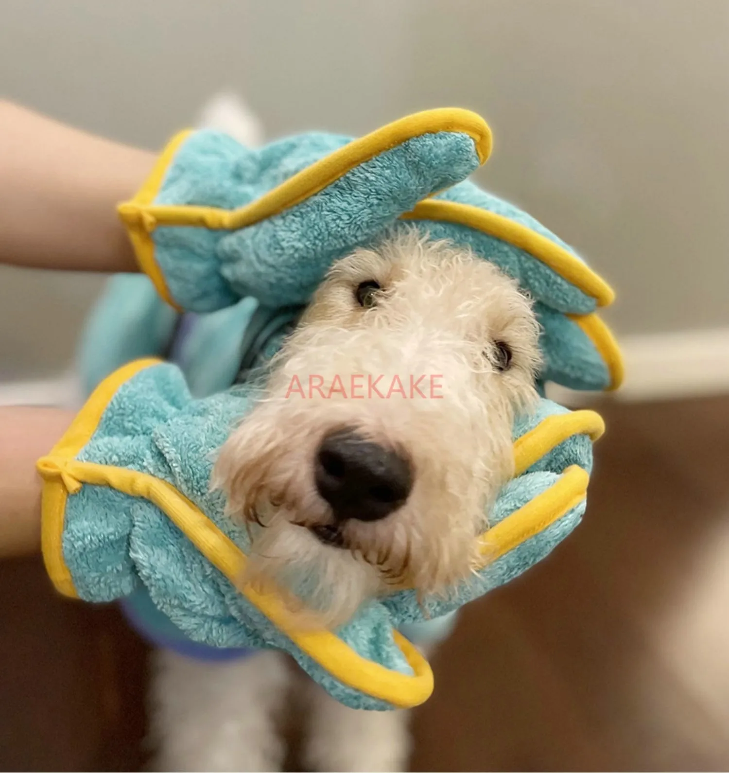 Pet bathrobe, super absorbent, high aesthetic value, quick drying, absorbent towel, super drying, special for dogs, cats,