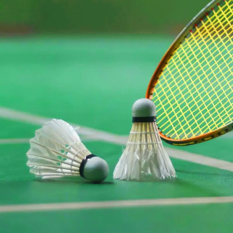 Badminton Shuttlecock Ball Sports Tool Durable Foam Head Soft Texture Badminton Racket Duck Feather 3Pcs
