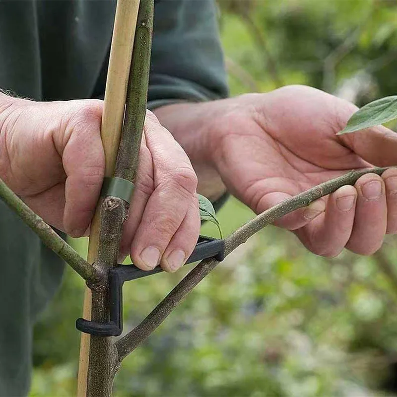 Fruit Tree Branch Puller Plant Vines Support Clips Twisting Shapers Twist Styling Bonsai Curved Elbow Garden Tool