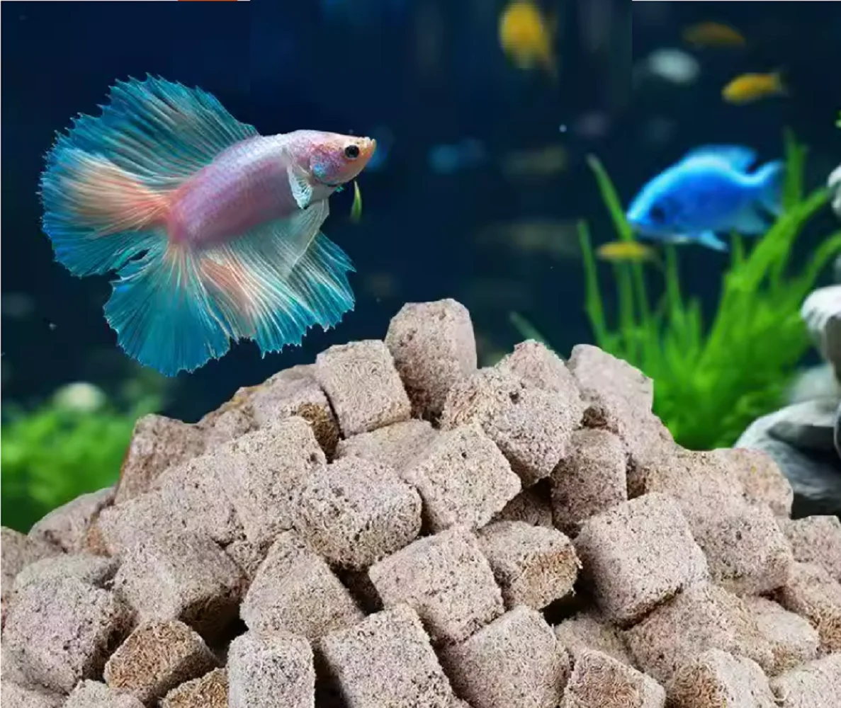 High-Protein Freeze-Dried Red Worm Cubes - Perfect Nutritional ...