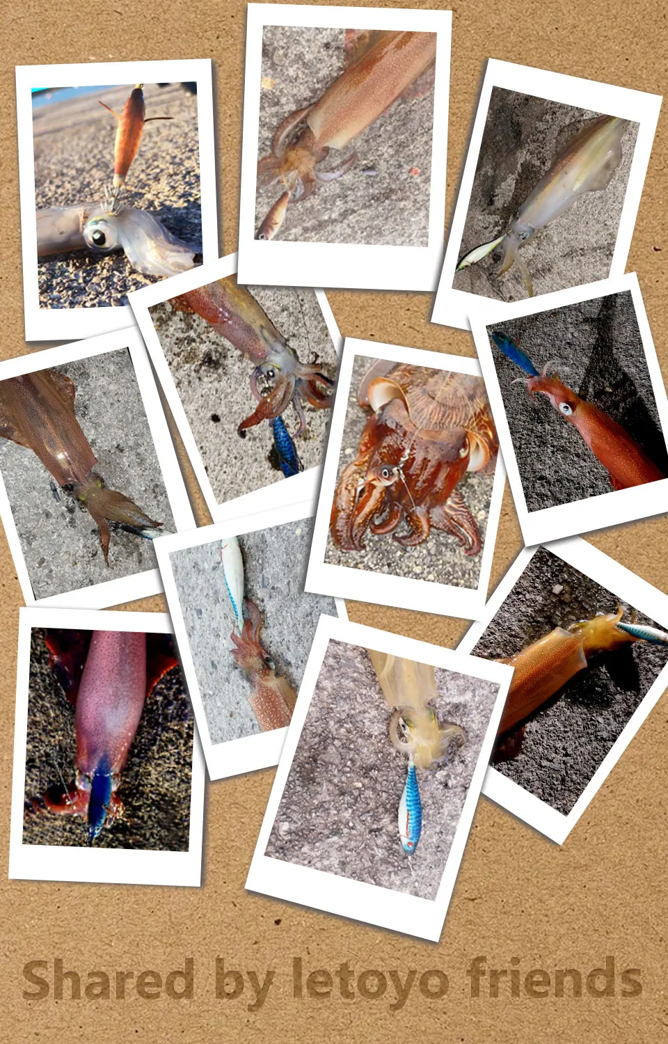 LETOYO sutte 04, leuchtender Tintenfisch-Jig, Aggie, schwimmender Tintenfisch-Köder, künstlicher Köder, Tintenfisch-Angeln, Webfuß, Oktopus, Egi, Meeresangeln – Detail 3