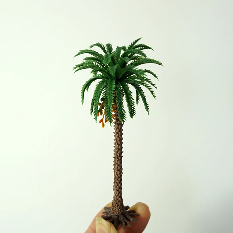 Рисунок 3 - 6/9/12/15 см, Африканский кокосовый суккулент