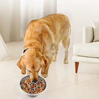 Slow Feeder Dog Bowl Insert Choking Prevention Slow Feeding Bowl dium Breed Large Sized Dog 2