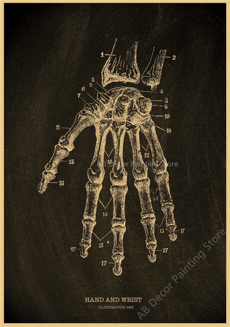 Nostalgic Posters Anatomy Chalkboard Poster Prints Body Parts Heart Hand Foot Drawing Vintage Home Room Art Wall Decor Painting Peckshirt