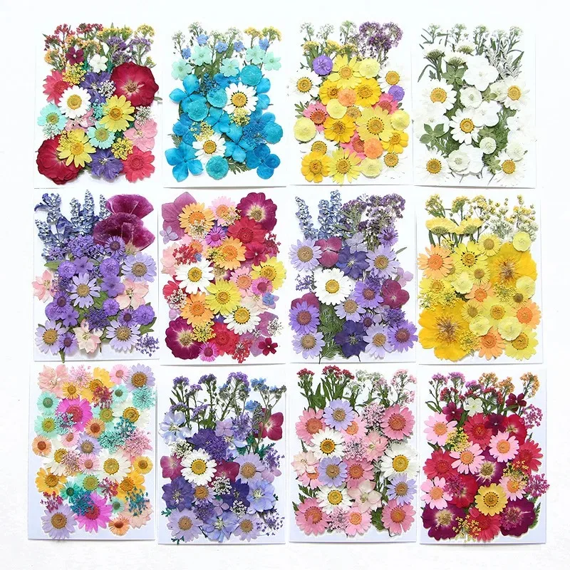 Dried Flowers Real Natural Plant Pressed Flower For Epoxy Resin Filling DIY Blank Pendant Tray Bezel Charms Jewelry Making Craft
