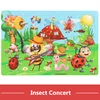 insect-concert