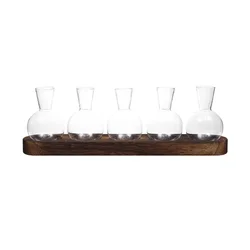Elegant Glass Terrarium with Wooden Tray for Indoor Plant Display and Home Office Décor (5B)