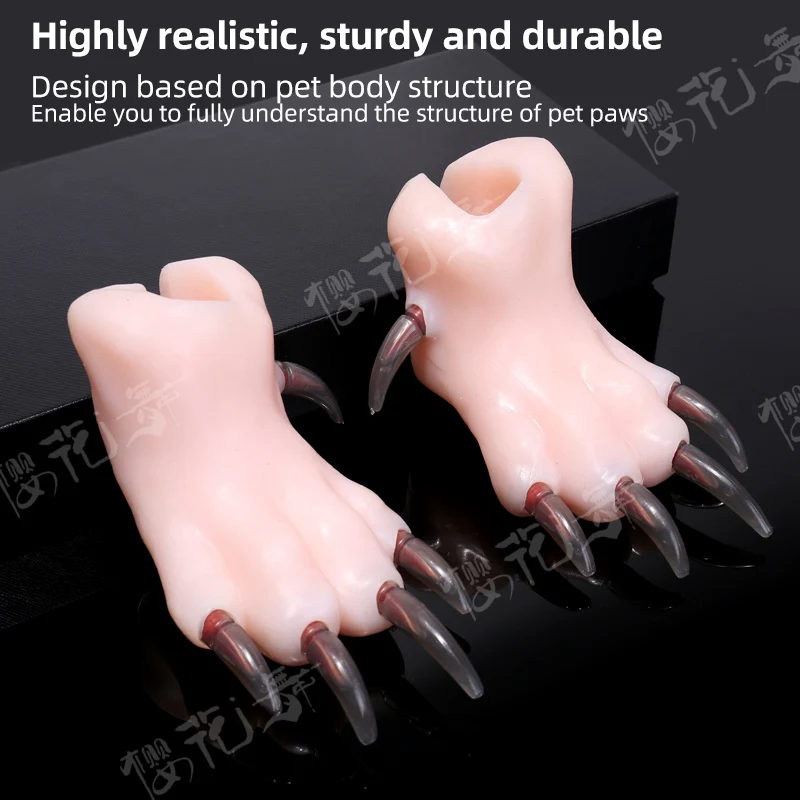 Silicone simulation dog paw teaching model pet beauty school teaching junior pet beauticians practicing cutting dog nails