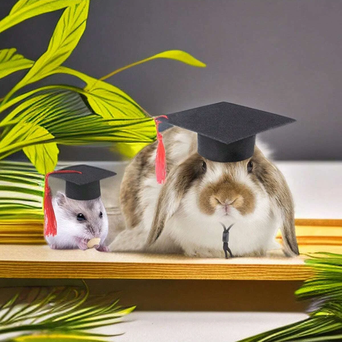 1pc-Fashionable tassel doctor hat for small pets, pet decoration, suitable for photo styling