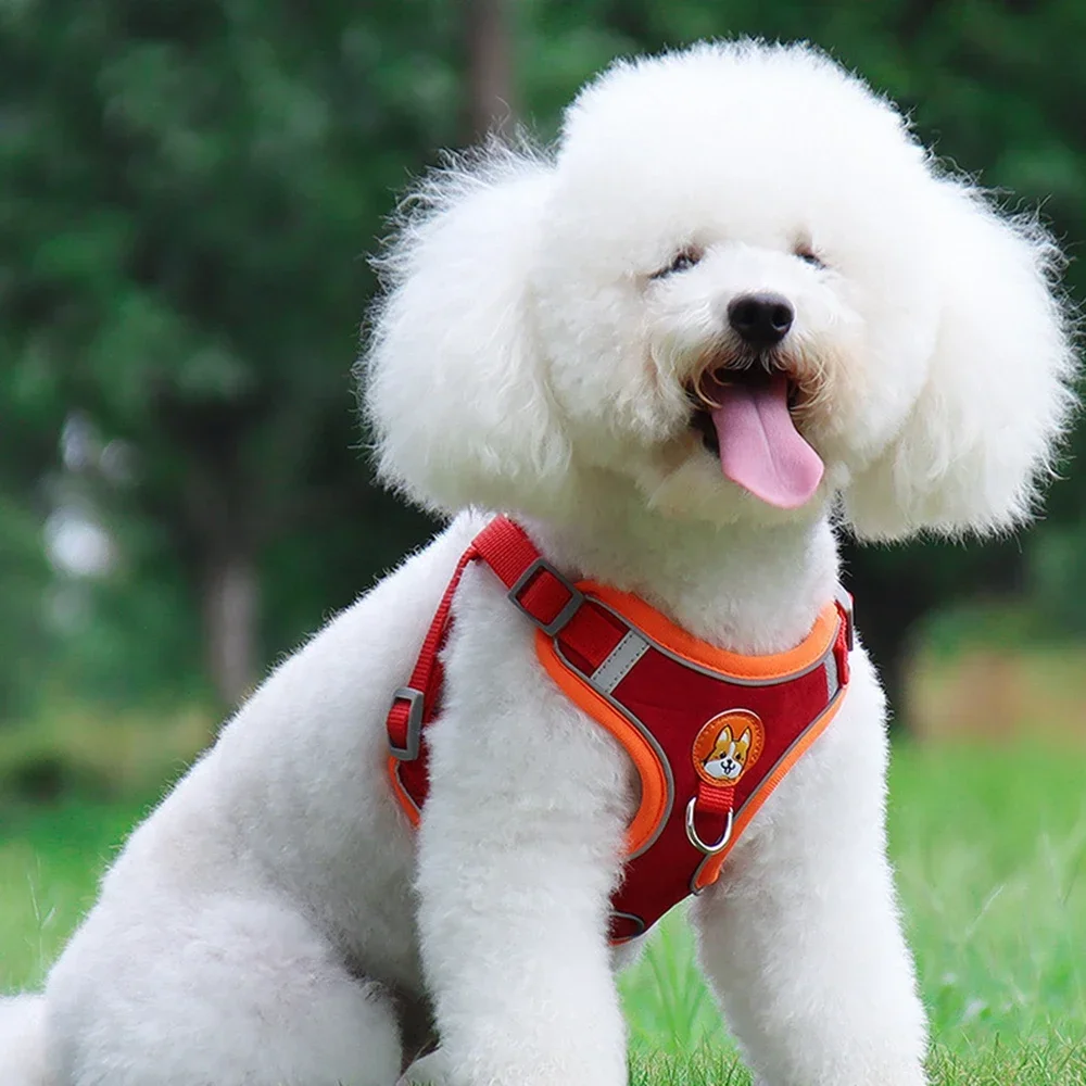 Dogs Adjustable Harness Leash Set for Small Medium Dogs Harness Vest Reflective Puppy Chest Strap Pet Walking Outdoor Supplies pet harness leash set pet harness set pet leash set