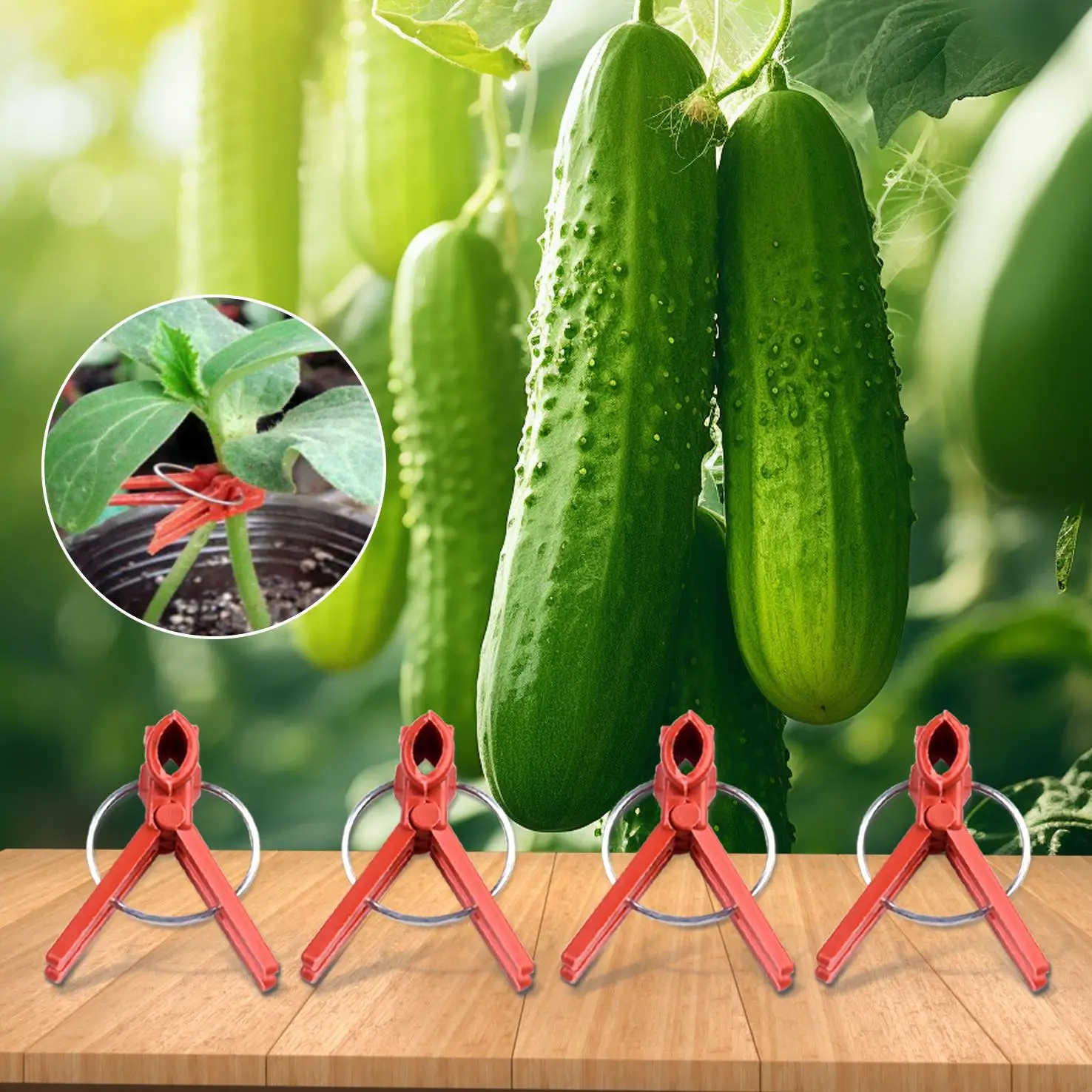 Plant grafting clip plastic gardening tool cucumber eggplant watermelon round mouth flat mouth anti-fall clamp 50PCS plant clips plastic plant clips