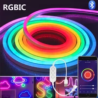 DC5V RGBIC Neon LED Strip Lights Neon Rope Light with Music Sync DIY RGBIC Dreamcolor Chasing Strip Tape for Home Decor Lighting 1