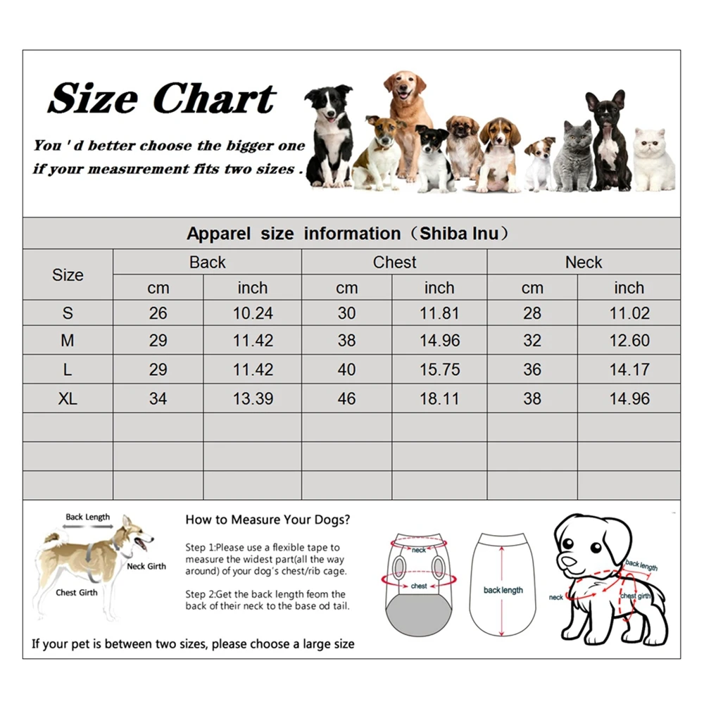 Snowman Costume Front View