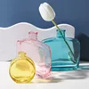 Nordic Modern Ins Style Creative Hydroponic Transparent Glass Vase Living Dining Room Desktop Decor Personalized Art Ornament 3