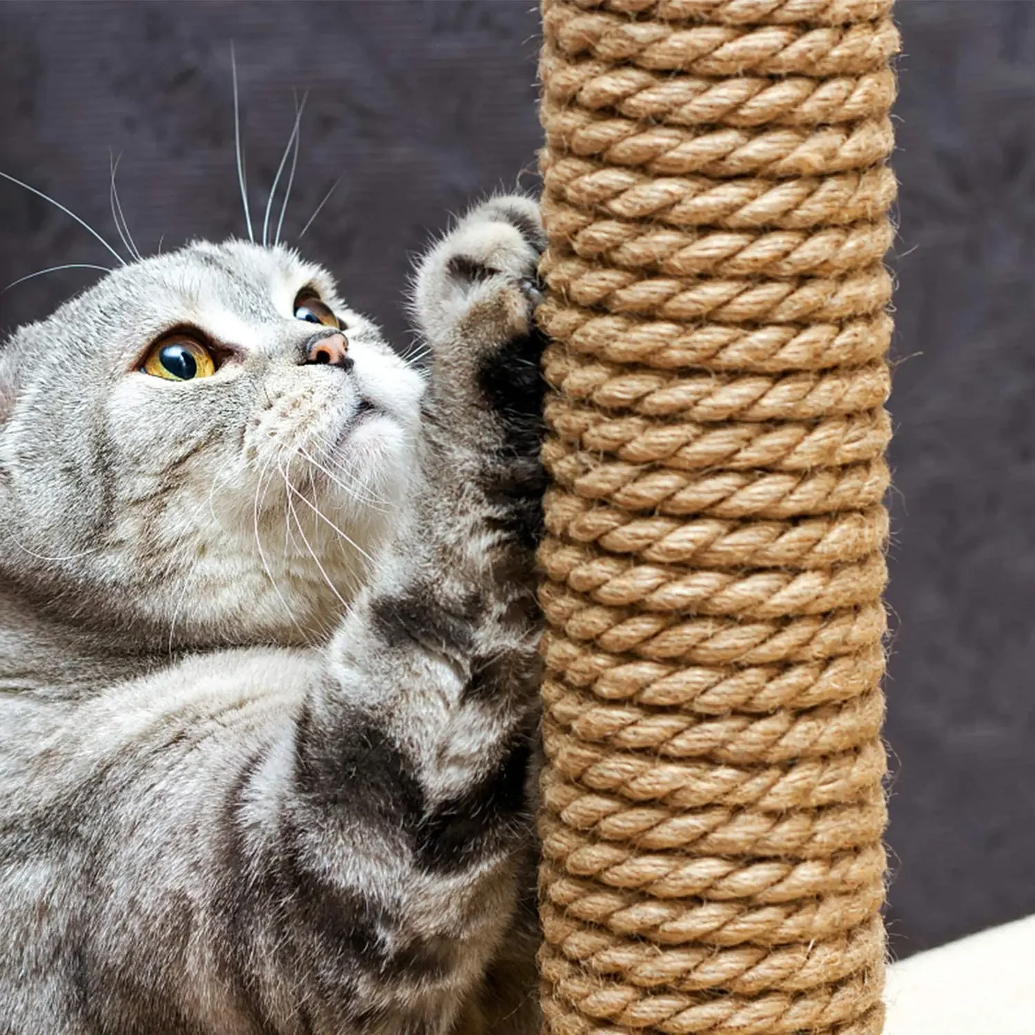 Natural Vintage Jute Rope Cord String 1-14mm DIY Basket Cat Pet Scratching Handmade Gift Wrapping Gardening Wedding Decor 2-100M jute rope