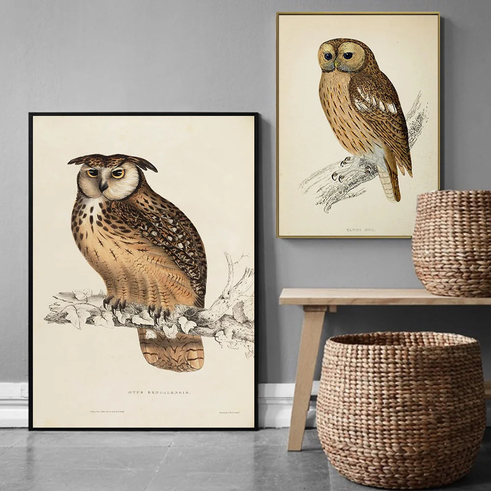 Owl Wall Decor