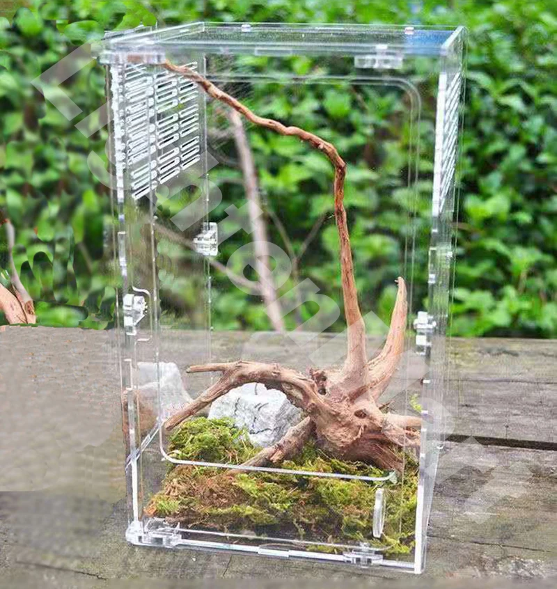 

Acrylic Reptile Cage Breeding Box Spider Lizard Scorpion Centipede Horned Frog Gecko Beetle Insect Cage (15 * 15 * 25cm)