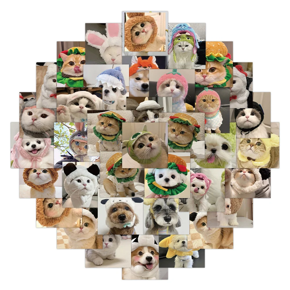 10/30/60pcs Funny Dogs Cats MEME Cartoon Stickers for Kids Waterproof Graffiti Stationery Laptop Scrapbooking Vinyl Cute Decals