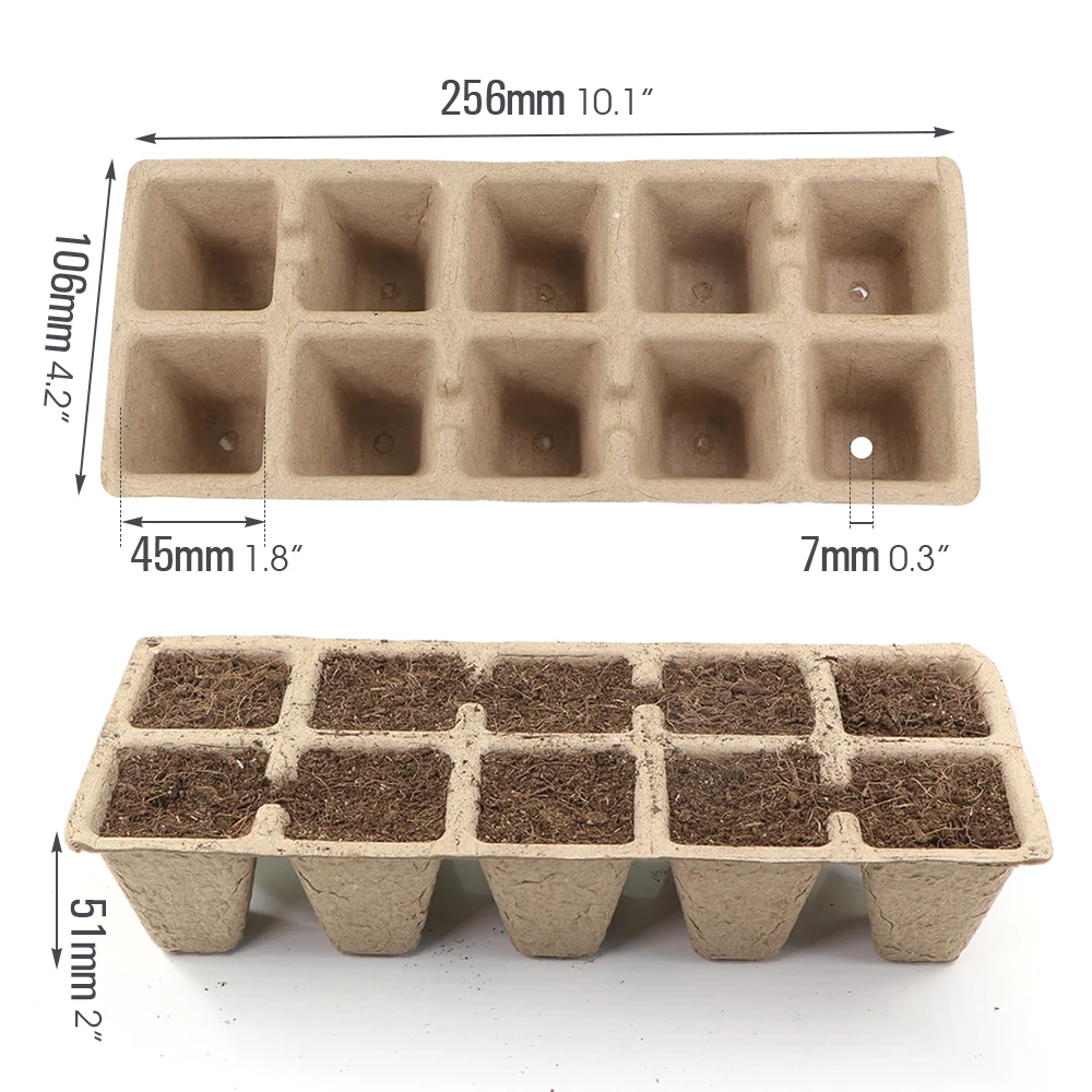 10Hole/12Hole Biodegradable Seedlings Box for Seed Germinate