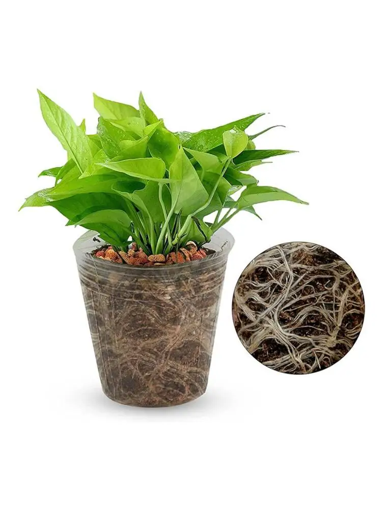 100pcs Transparency Nursery Pots Grow Planting Nutrition Orchid Propagation Container Cup Seedling Bags Garden Supplies Rai D4J3 best Flower Pots & Planters