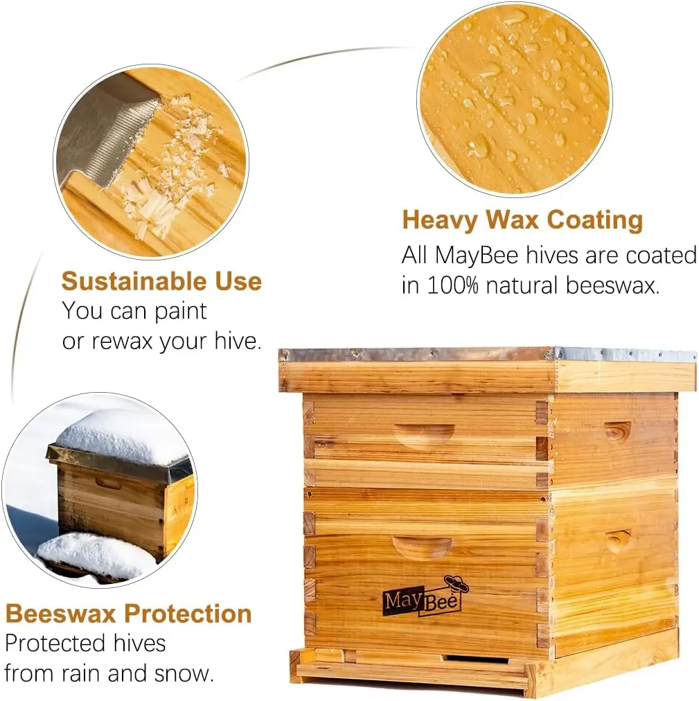 10 Frame Bee Hives & Supplies Starter Kit, Bee Hive for Beginner, Honey Hives with Beehive Frames and Foundation