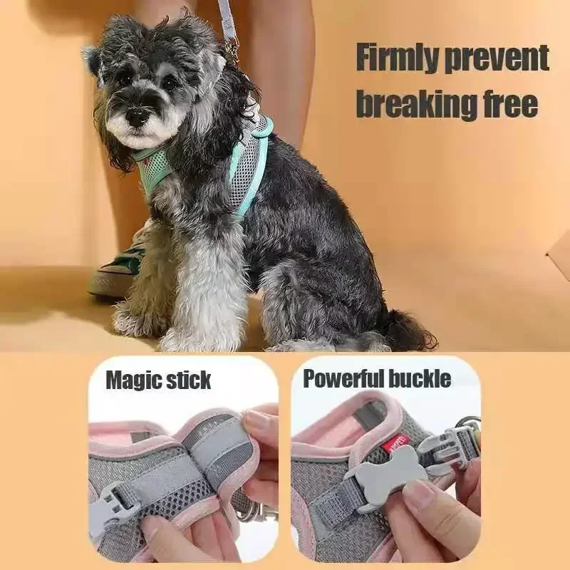 Adjustable Pet Chest Rope Harness – Breathable Safety Vest for Small Dogs & Cats 3