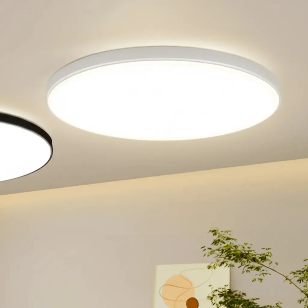 Dimmable Modern LED Ceiling Light Fixture with Remote Control
