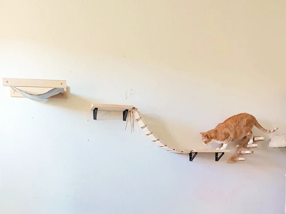 cat-climbing-wall-furniture-steps-hammock-shelves-and-perches-for