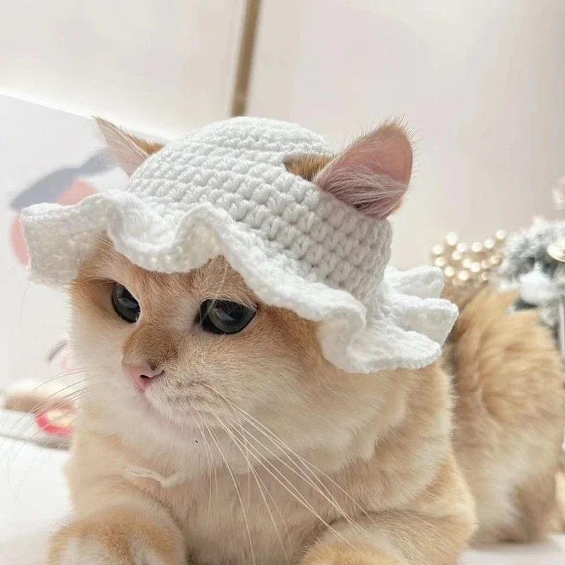 Autumn Winter Cat Hat Elastic Cute Refined Pet Hat Puppy