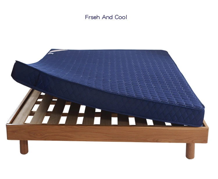 Description Picture 4 of itemTatami Mattress cushion student dormitory single double mat sponge pad thin summer mat quilt thickened household mattress