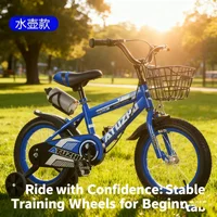Modèle de bouilloire pour enfants bleu océan, vélo à pédales de 14 pouces, 16 pouces et 18 pouces pour garçons et filles de 3 à 6 ans et 9 ans 2