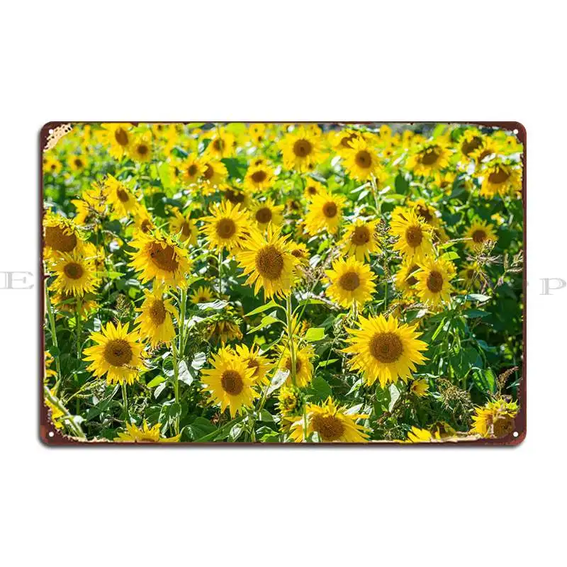 Bright Hippy Girasoli Metal Sign Cinema Home Design Cinema Tin Sign Poster