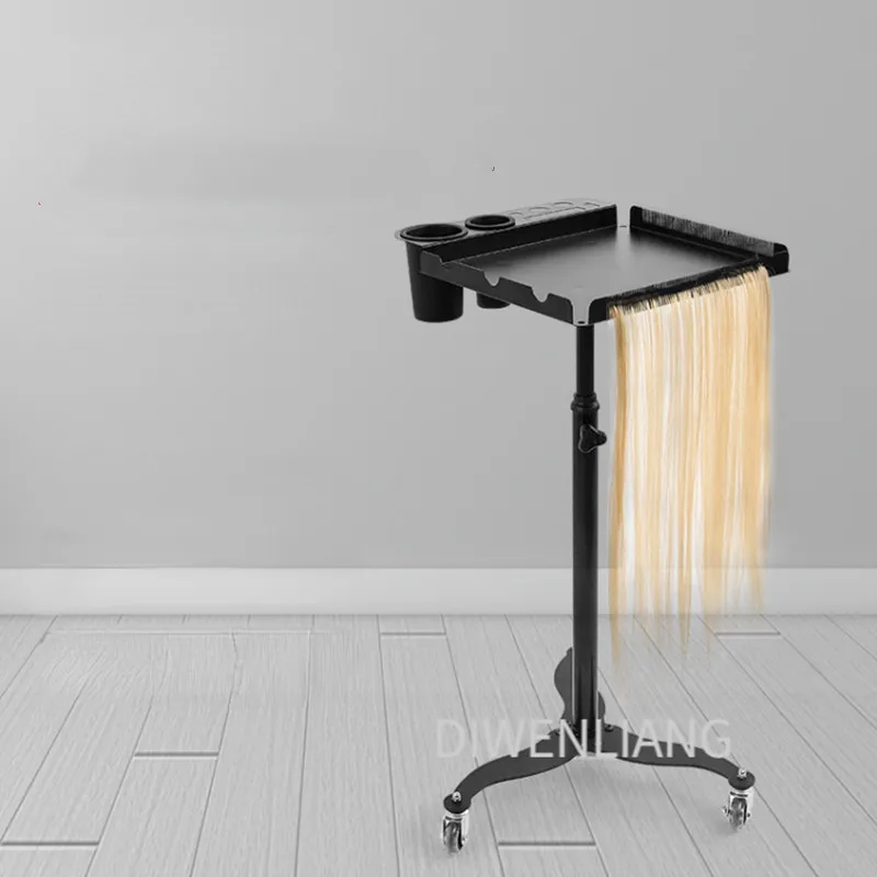 StainlessSteelSalonHairColorholderCanLifttheHairPieceStorage