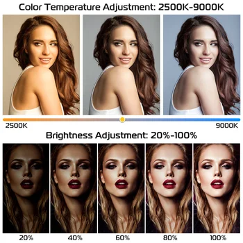 Ulanzi U-Rig Phone Photography LED Lamp With Bluetooth Video Rig for Filmmaking For iPhone Samsung Smartphone Video Stabilizer 4