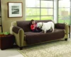 Sofa Cushion Couch Coat Waterproof Wear-resistant Pet 3 Pieces Set of Anti-bite Blanket 5