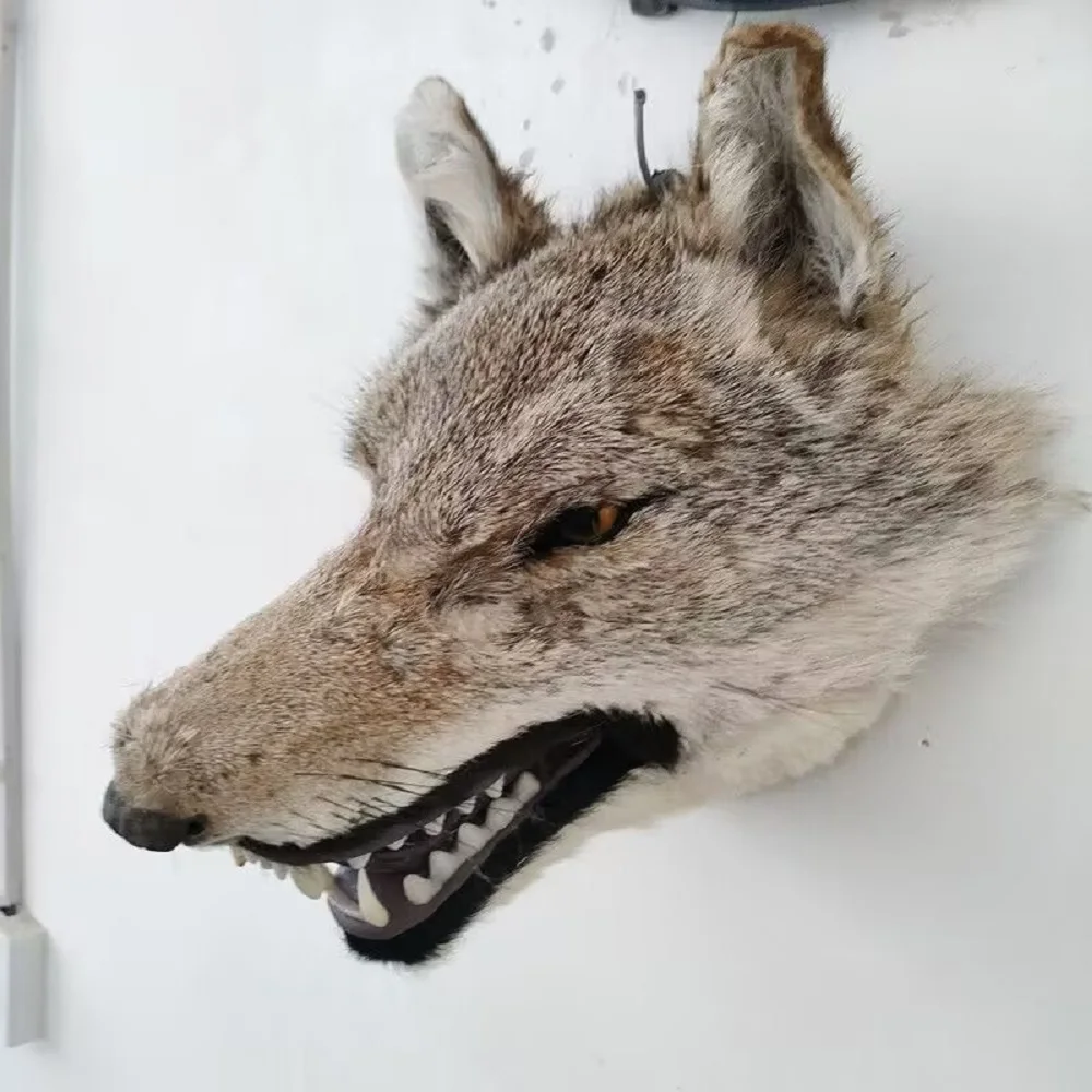 

simulation polyethylene&furs wolf head model wall pendant handicraft doll about 30x25cm