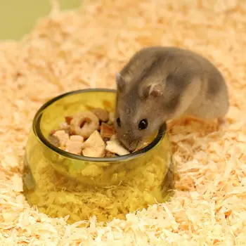 Non-Slip Hamster Food Bowl 1