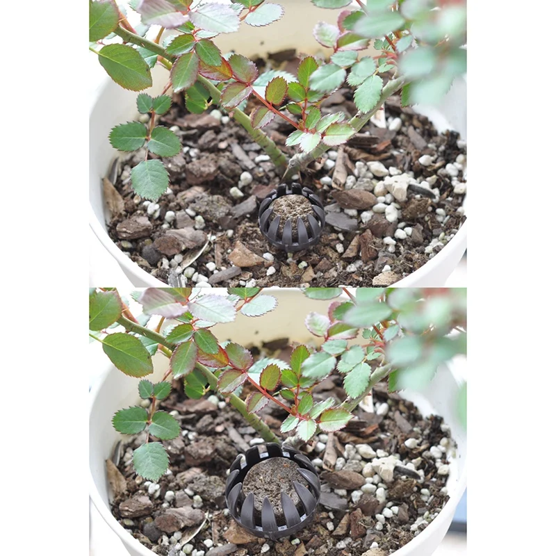 Cover Fertilizer Box Basket Container Holder For Bonsai Plant Flower Home