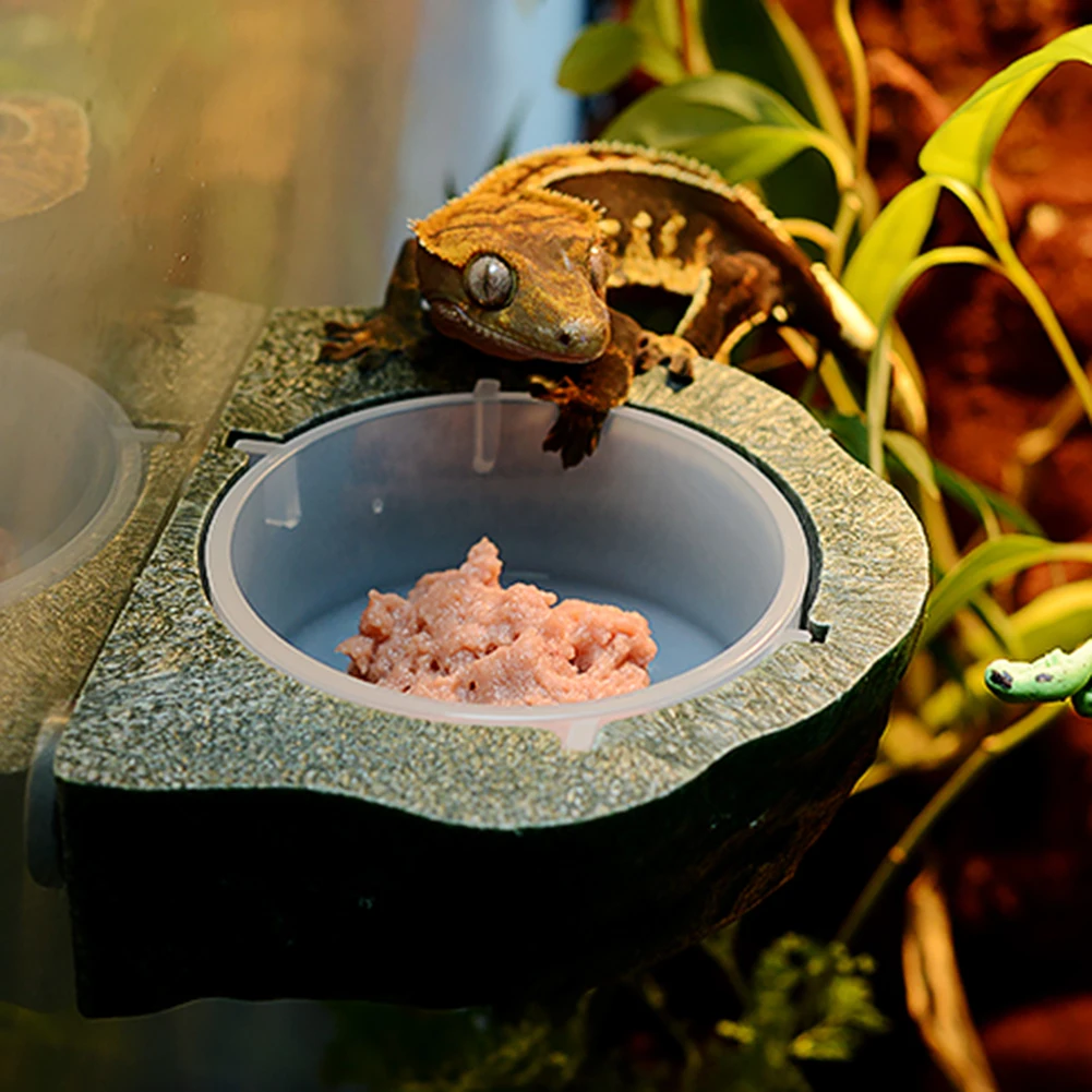 Reptile Gecko Food Water Bowl Magnetic Adsorption Feeding Dish With Separate Food Basin Bearded Dragon Terrarium Decor