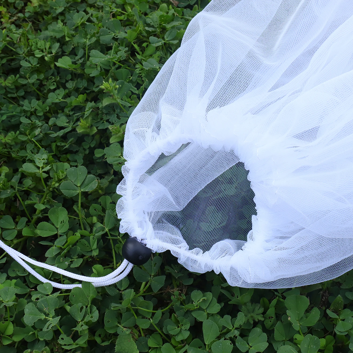 Seb052649c6fc49b38ff1c167fd007090s