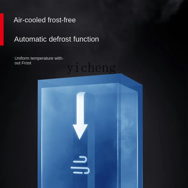 Tqh Air Cooling Frostless Two-Door Refrigerator Commercial Vertical Refrigerated Cabinet Freezer Cake Strip Freezer