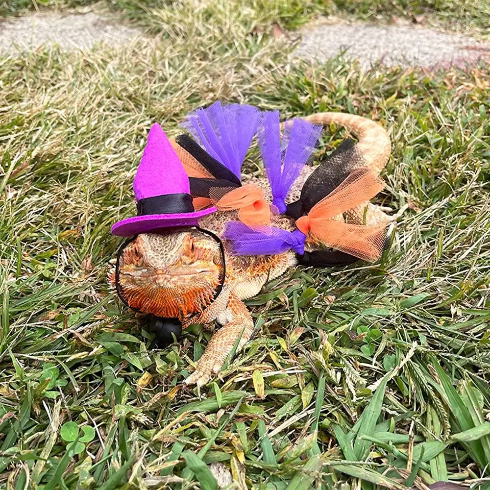 Description Picture 5 of itemFunny Mini Pet Halloween Costume Comfortable Adjustable Hat Halloween Lizard Clothes Decorative Tutu Skirt