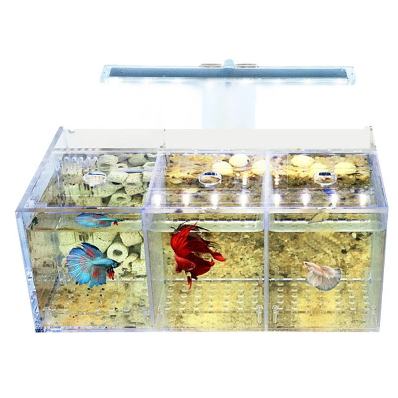 led-acrilico-betta-fish-tank-set-mini-desktop-light-bomba-de-agua-filtros-aquario