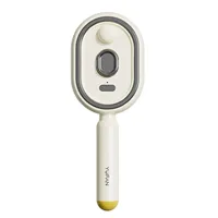 Wet Electrics Hairbrush with Water Spray Rechargeable Steams Hair Straightener USB-C Charging for Both Long & Short Hairs 4