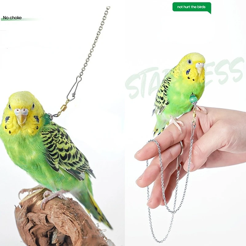 Bird Parrot Foot Chain Stainless Steel Ankle Foot Ring Stand Chain Outdoor Flying Training Bird Accessories
