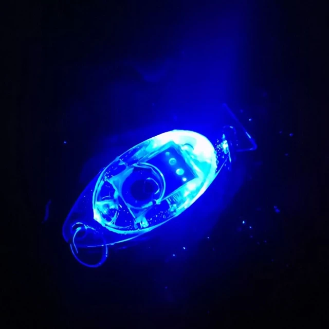 2pcs Fishing Lights Night Fluorescent Glow LED Underwater Night Fishing  Light Lure for Attracting Fish LED Fishing Supplies - AliExpress