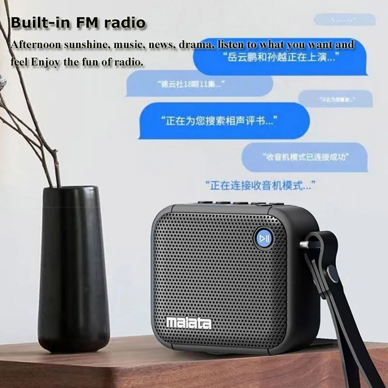Mini Lecteur De Musique Diyeeni - Radio FM Portable Avec Haut-Parleur, Support TF/USB (Noir)