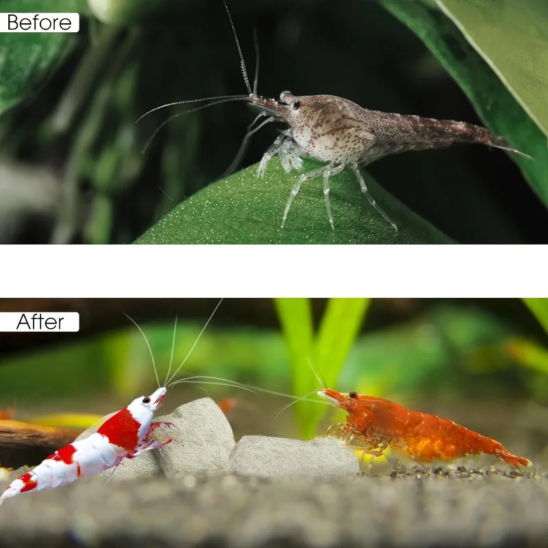 Hochdichter, durchlässiger biochemischer Filter für Koi-Teiche und Außenaquarien - Schnelle Reinigung, Biofilter für Außenteiche – Detail 18