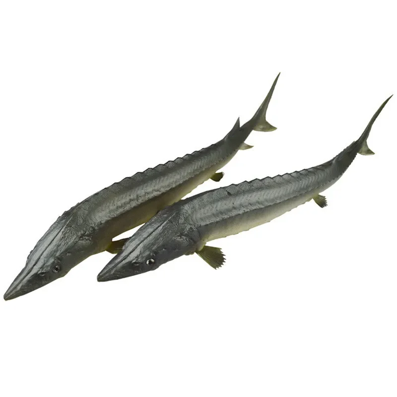 Pu Sturgeon Fish Simulation Model Home Living Room Decorations